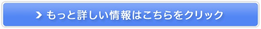 乳酸菌サプリメントMG28販売サイトへ